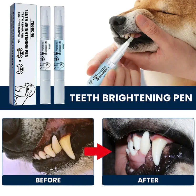 Pets Toothbrush Clean Pen