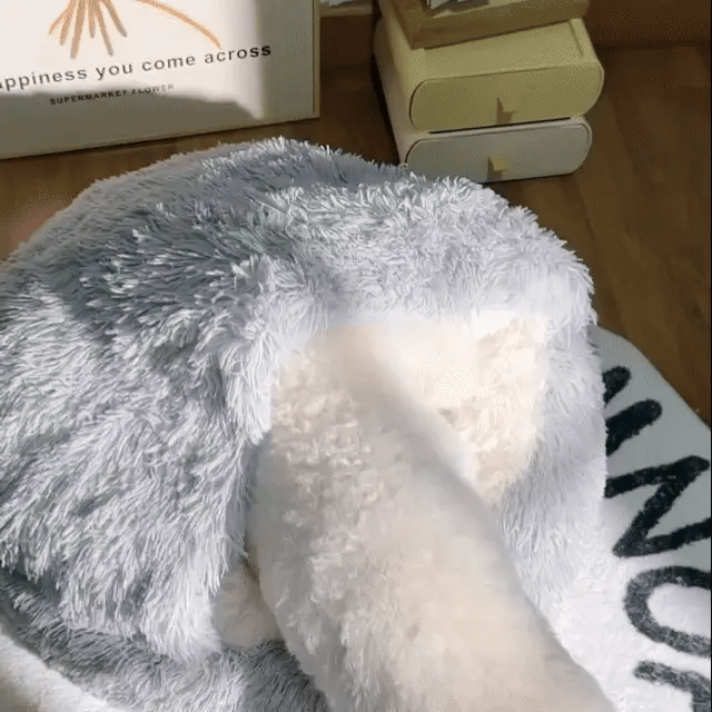 Cozy Cave Pet