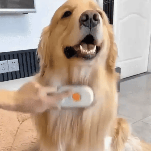 3 in 1 Pet Steam Brush