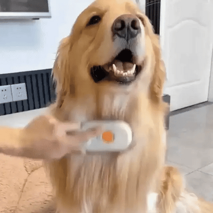 3 in 1 Pet Steam Brush