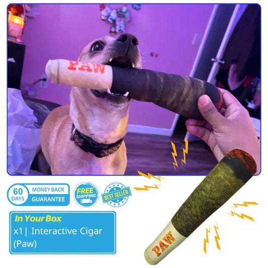 Interactive Cigar Dog Toy (Paw)