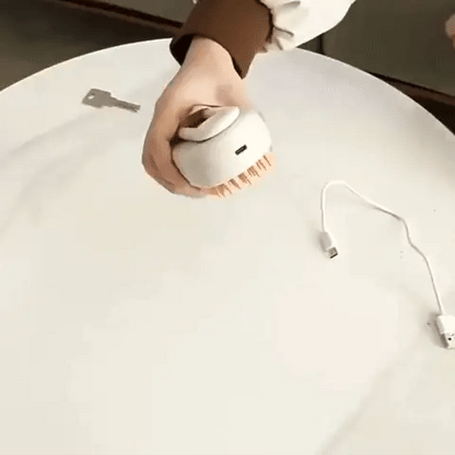 3 in 1 Pet Steam Brush