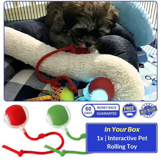 Interactive Pet Rolling Toy (Durable and Fun)