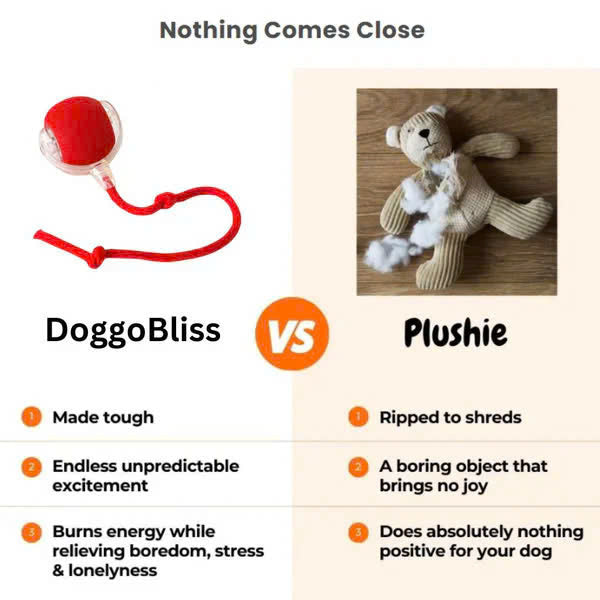 Interactive Pet Rolling Toy (Durable and Fun)