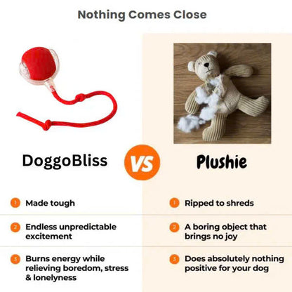 Interactive Pet Rolling Toy (Durable and Fun)