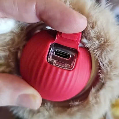 Interactive Pet Rolling Toy (Durable and Fun)