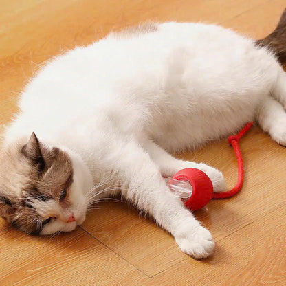 Interactive Pet Rolling Toy (Durable and Fun)