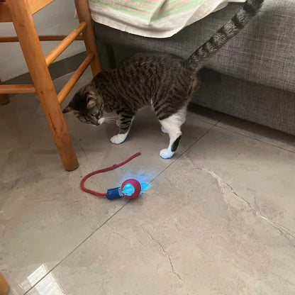 Interactive Pet Rolling Toy (Durable and Fun)