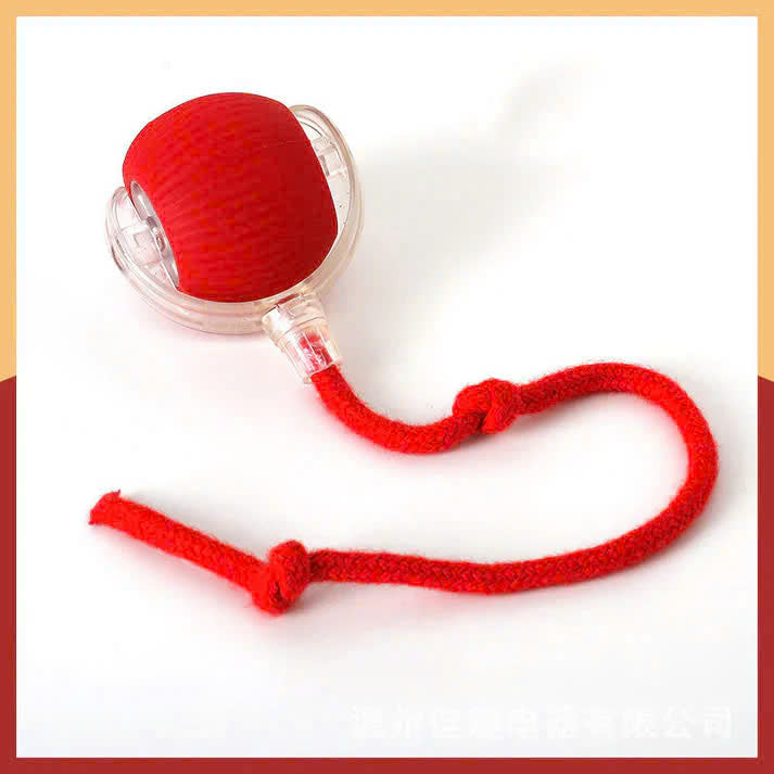 Interactive Pet Rolling Toy (Durable and Fun)