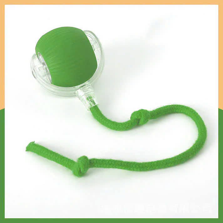 Interactive Pet Rolling Toy (Durable and Fun)