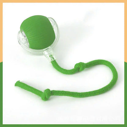 Interactive Pet Rolling Toy (Durable and Fun)