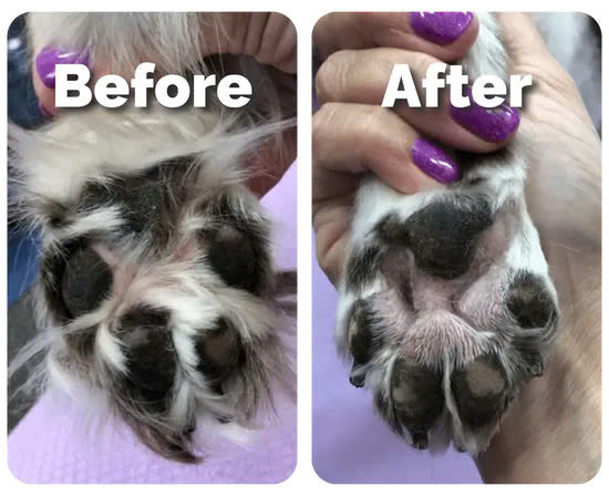 Paw Light Trimmer