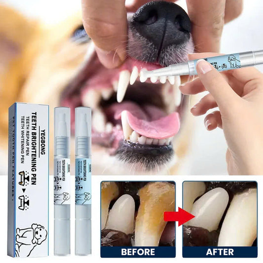Pets Toothbrush Clean Pen