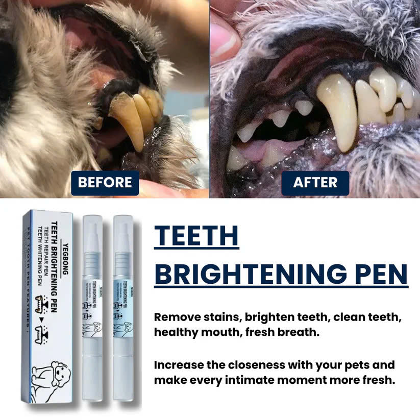 Pets Toothbrush Clean Pen
