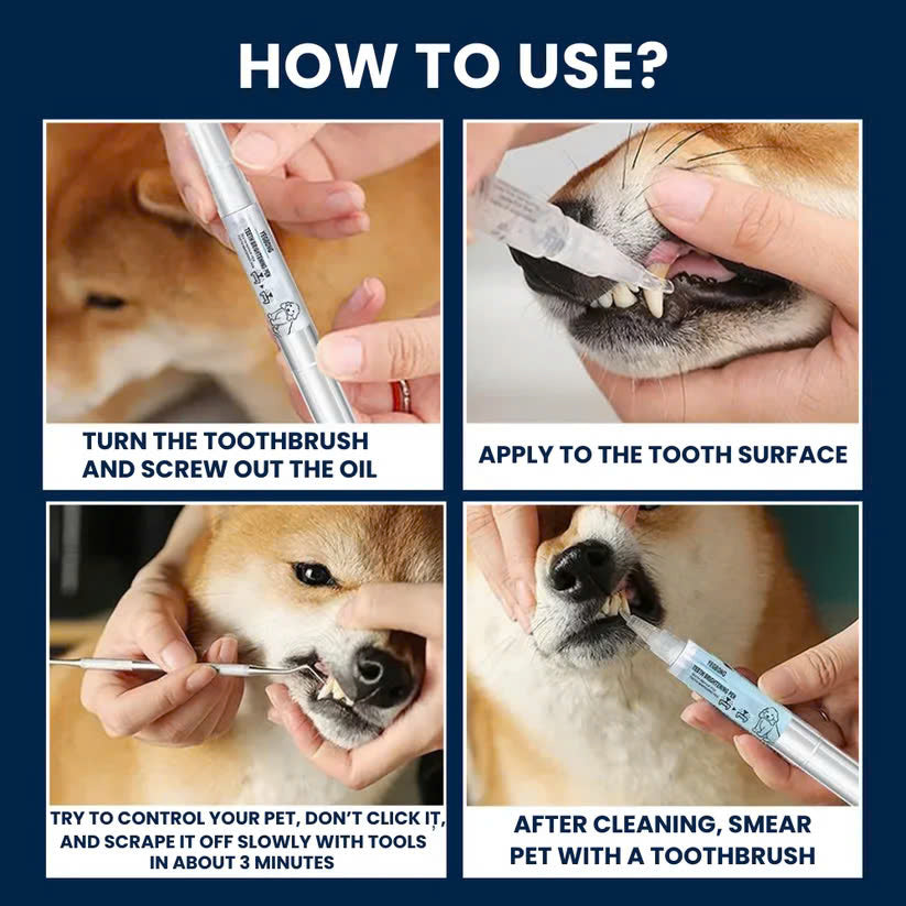 Pets Toothbrush Clean Pen