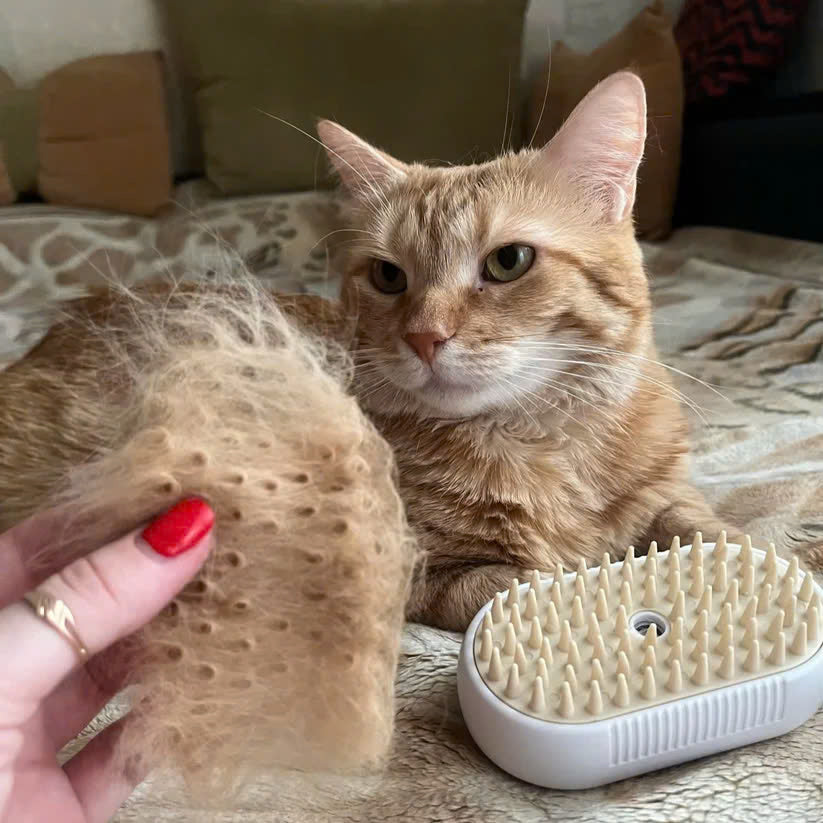 3 in 1 Pet Steam Brush