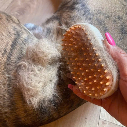 3 in 1 Pet Steam Brush