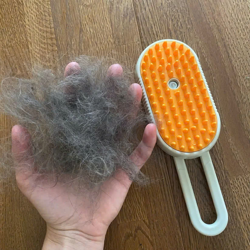 3 in 1 Pet Steam Brush