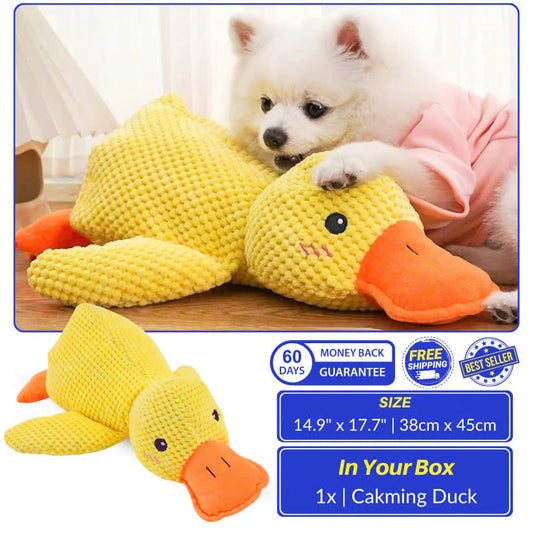 Calming Duck