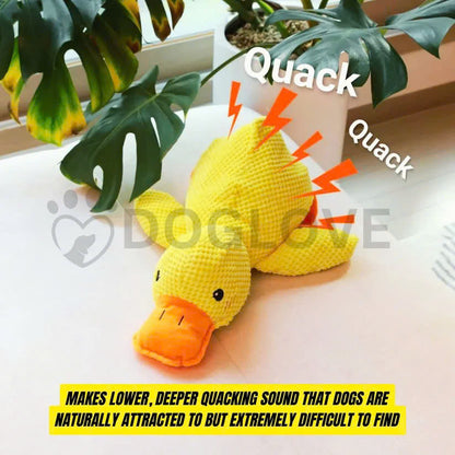 Calming Duck
