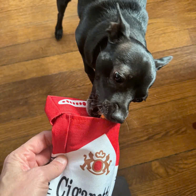 Interactive Cigarette Dog Toy
