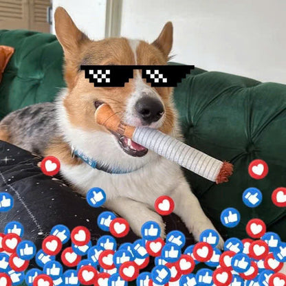 Interactive Cigarette Dog Toy