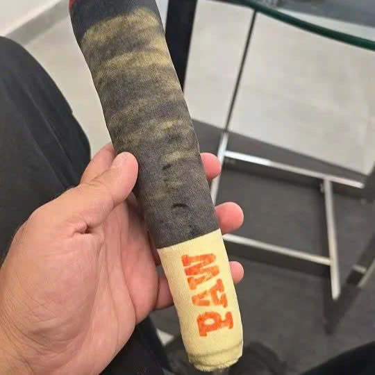 Interactive Cigar Dog Toy (Paw)