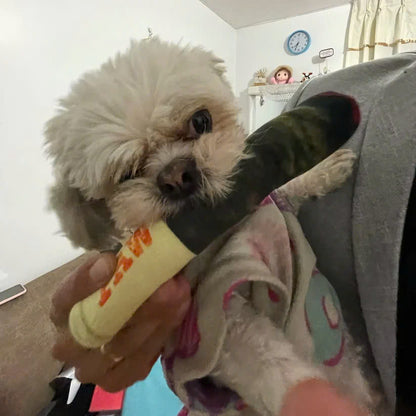 Interactive Cigar Dog Toy (Paw)