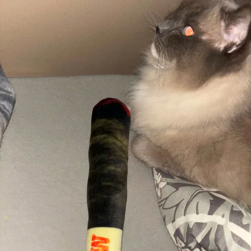 Interactive Cigar Dog Toy (Paw)