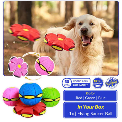Flying Saucer Ball