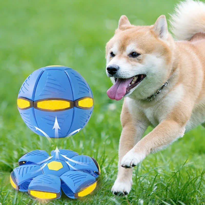 Flying Saucer Ball