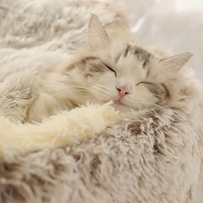 Cozy Cave Pet