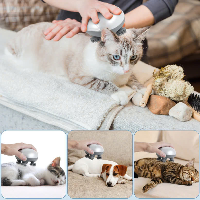 Pet Head Massager